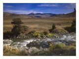 River Flowing Though Meadow, Yellowstone National Park, Wyoming-Paper Art-26,,X20,,