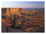View From Green River Overlook, Canyonlands National Park, Utah-Paper Art-18,,X14,,