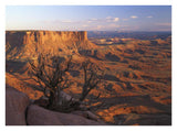 View From Green River Overlook, Canyonlands National Park, Utah-Paper Art-34,,X26,,