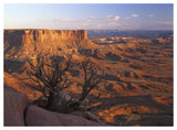 View From Green River Overlook, Canyonlands National Park, Utah-Paper Art-50,,X38,,