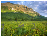 Gothic Mountain Overlooking Meadow Near Crested Butte, Colorado-Paper Art-42,,X32,,