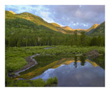 Pond And Boreal Forest, Ruby Range Near Crested Butte, Colorado-Paper Art-22,,X18,,