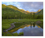 Pond And Boreal Forest, Ruby Range Near Crested Butte, Colorado-Paper Art-26,,X22,,
