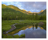 Pond And Boreal Forest, Ruby Range Near Crested Butte, Colorado-Paper Art-30,,X24,,