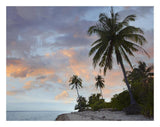 Coconut Palm Trees, Pamilacan Island, Bohol Island, Philippines-Paper Art-26,,X20,,