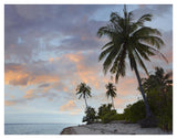 Coconut Palm Trees, Pamilacan Island, Bohol Island, Philippines-Paper Art-42,,X32,,