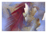 Northern Cardinal Feather And Oak Leaves Frozen In Ice, Arizona-Paper Art-26,,X18,,