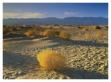 Mesquite Flat Sand Dunes, Death Valley National Park, California-Paper Art-42,,X32,,