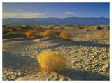 Mesquite Flat Sand Dunes, Death Valley National Park, California-Paper Art-50,,X38,,