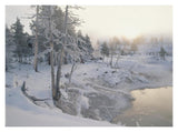 Upper Geyser Basin In Winter, Yellowstone National Park, Wyoming-Paper Art-18,,X14,,