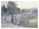 Upper Geyser Basin In Winter, Yellowstone National Park, Wyoming-Paper Art-34,,X26,,