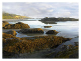 Seaweed Covered Rocks Exposed At Low Tide, Neptune Beach, Oregon-Paper Art-18,,X14,,