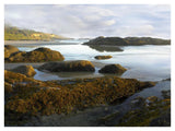 Seaweed Covered Rocks Exposed At Low Tide, Neptune Beach, Oregon-Paper Art-42,,X32,,