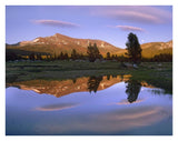 Mount Dana Reflected In Pond, Yosemite National Park, California-Paper Art-34,,X26,,
