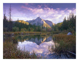 Mount Lorette And Spruce Trees Reflected In Lake, Alberta, Canada-Paper Art-26,,X20,,