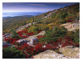 Atlantic Coast From Cadillac Mountain, Acadia National Park, Maine-Paper Art-18,,X14,,