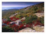 Atlantic Coast From Cadillac Mountain, Acadia National Park, Maine-Paper Art-26,,X20,,
