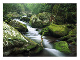 Roaring Fork River, Great Smoky Mountains National Park, Tennessee-Paper Art-26,,X20,,