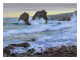 Cove And Seastacks Near Garrapata State, Beach Big Sur, California-Paper Art-26,,X20,,