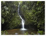 Waterfall In The Milpe Bird Sanctuary, Mindo Cloud Forest, Ecuador-Paper Art-42,,X32,,