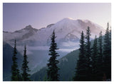 Mt Rainier As Seen At Sunrise, Mt Rainier National Park, Washington-Paper Art-42,,X32,,