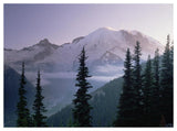 Mt Rainier As Seen At Sunrise, Mt Rainier National Park, Washington-Paper Art-50,,X38,,