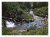 La Plata River, La Plata Canyon, San Juan National Forest, Colorado-Paper Art-34,,X26,,