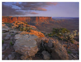 View From The Green River Overlook, Canyonlands National Park, Utah-Paper Art-42,,X32,,