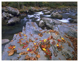 Little Pigeon River, Great Smoky Mountains National Park, Tennessee-Paper Art-50,,X38,,