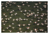 Aerial View Of A Mixed Flock Of Lesser Flamingo Group Kenya, Africa-Paper Art-20,,X14,,