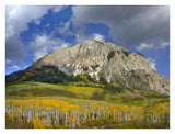 Marcellina Mountain And Aspen Forest In Raggeds Wilderness, Colorado-Paper Art-34,,X26,,