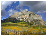 Marcellina Mountain And Aspen Forest In Raggeds Wilderness, Colorado-Paper Art-50,,X38,,