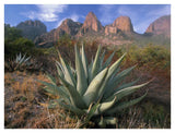Chisos Agave And The Chisos Mountains, Big Bend National Park, Texas-Paper Art-42,,X32,,