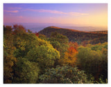 Blue Ridge Mountains With Deciduous Forests In Autumn, North Carolina-Paper Art-18,,X14,,