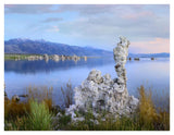 Wind And Rain Eroded Tufa Towers Along Shore Of Mono Lake, California-Paper Art-42,,X32,,