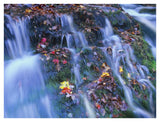 Laurel Creek Cascades, Great Smoky Mountains National Park, Tennessee-Paper Art-42,,X32,,