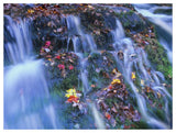 Laurel Creek Cascades, Great Smoky Mountains National Park, Tennessee-Paper Art-50,,X38,,