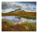 Pond And Ogilvie Mountains, Tombstone Territorial Park, Yukon, Canada-Paper Art-24,,X20.92,,
