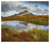 Pond And Ogilvie Mountains, Tombstone Territorial Park, Yukon, Canada-Paper Art-42,,X36.4,,