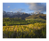 Quaking Aspen Forest And Mount Sneffels, San Juan Mountains, Colorado-Paper Art-18,,X15.28,,