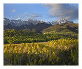 Quaking Aspen Forest And Mount Sneffels, San Juan Mountains, Colorado-Paper Art-24,,X20.26,,