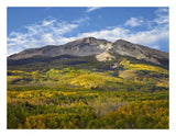Aspen Forest And East Beckwith Mountain, West Elk Wilderness, Colorado-Paper Art-26,,X20,,