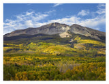 Aspen Forest And East Beckwith Mountain, West Elk Wilderness, Colorado-Paper Art-34,,X26,,