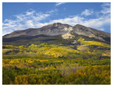 Aspen Forest And East Beckwith Mountain, West Elk Wilderness, Colorado-Paper Art-50,,X38,,