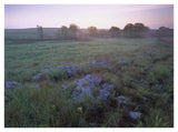 Misty Morning Over Prairie, Tallgrass Prairie National Preserve, Kansas-Paper Art-42,,X32,,