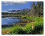 Nutzotin Mountains And Boreal Forest Reflected In Receding Lake, Alaska-Paper Art-30,,X24,,