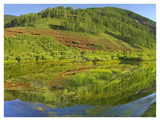 Rico Mountains Reflected In Dolores River Backwater Near Rico, Colorado-Paper Art-42,,X32,,