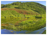Rico Mountains Reflected In Dolores River Backwater Near Rico, Colorado-Paper Art-50,,X38,,