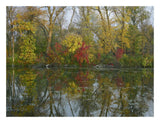 Autumn Reflection On Marsh'S Lake, Spruce Woods Provincial Park, Canada-Paper Art-26,,X20,,