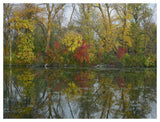 Autumn Reflection On Marsh'S Lake, Spruce Woods Provincial Park, Canada-Paper Art-50,,X38,,